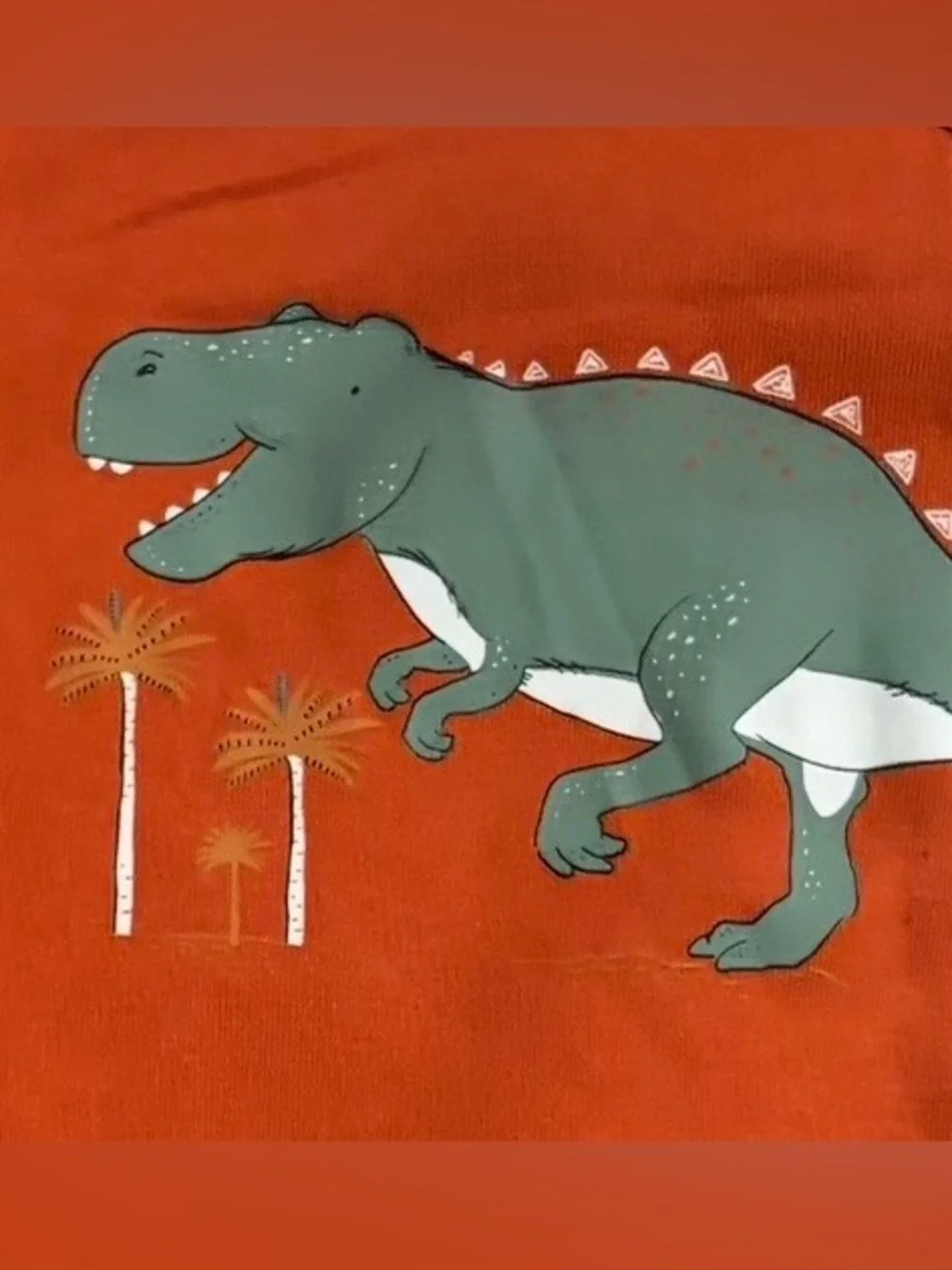 Carter's - 5 Piece Onesie Set with Dinosaur Graphics - Size 18 Months